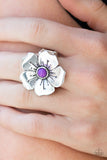 Boho Blossom - Purple by Paparazzi